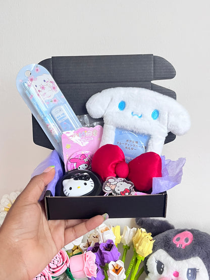 Sanrio Mystery Box